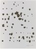 Jan Tarasin (1926 - 2009) Untitled (Black Spots on a Gray Background), 1990