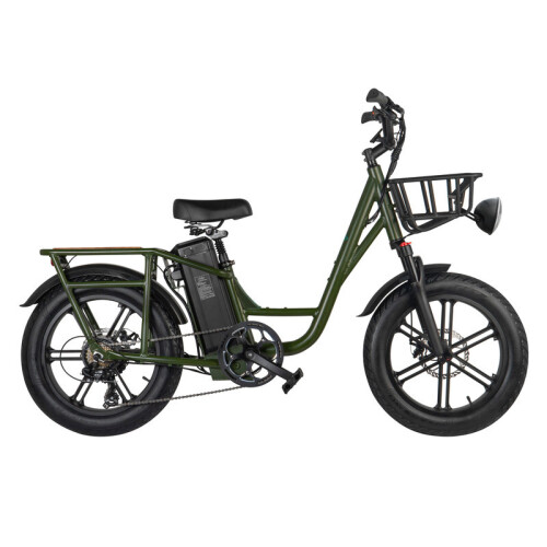 Fiido T1-Cargo Electric Bike