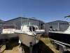 Bayliner 2052 Trophy Beautiful sturdy boat - 23