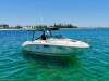 Sea Ray 225 Weekender Great All Rounder - 6