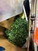 Bath tissue, KRAUS, automotive part, cooler, topiary, meat thermometer, poly Phil, ladder, & More - 4