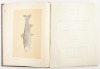 [ALASKA] Cruise of the Revenue-Steamer Corwin in Alaska and the N. W. Arctic Ocean in 1881. - 5