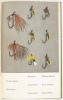 [ANGLERS' CLUB OF NEW YORK] Three titles published by the Anglers' Club. - 4